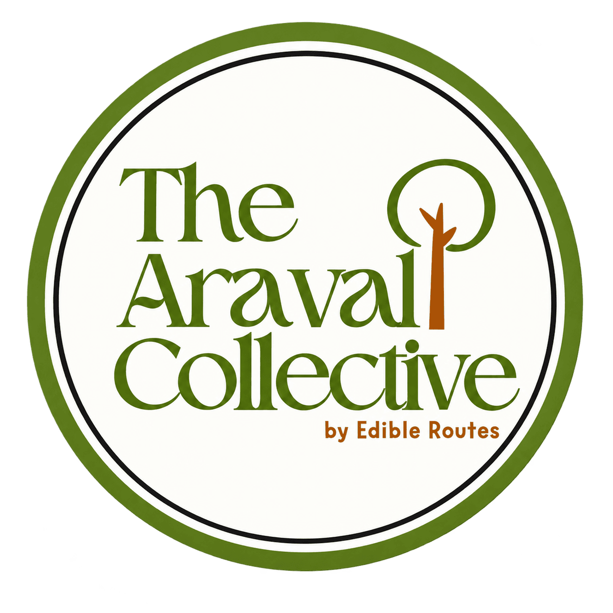 The Aravali collective 