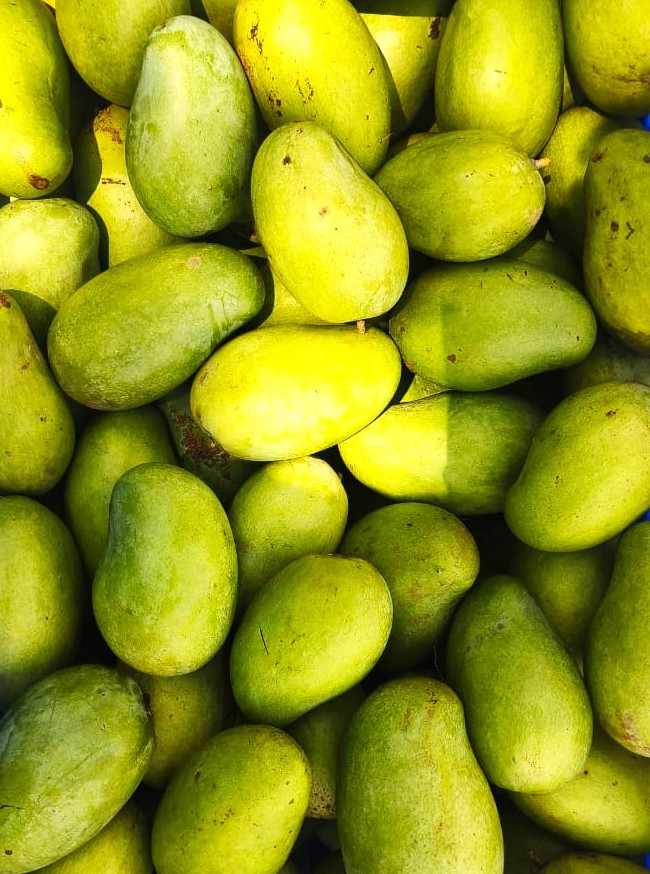 Amrapali Mangoes | 4.5 Kg
